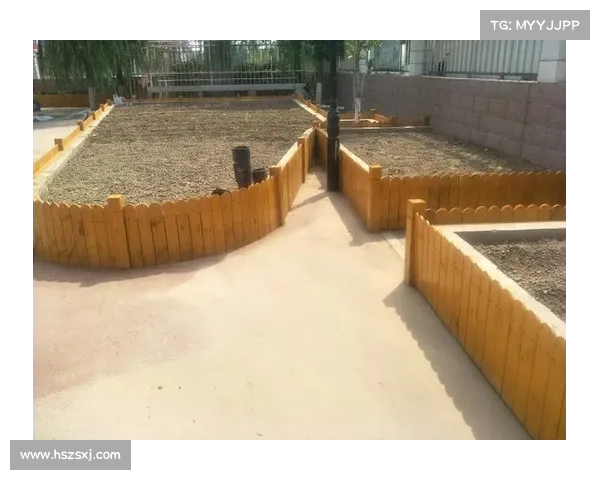 为什么格斗小子心怀梦想勇敢追逐属于自己的未来 为什么格斗小子心怀梦想勇敢追逐属于自己的未来